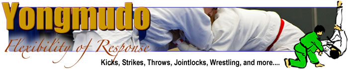 1st Yongmudo Promotion Exam